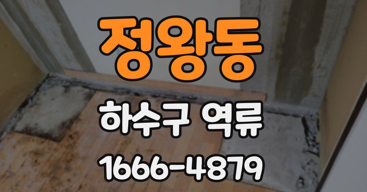 정왕동 하수구 역류