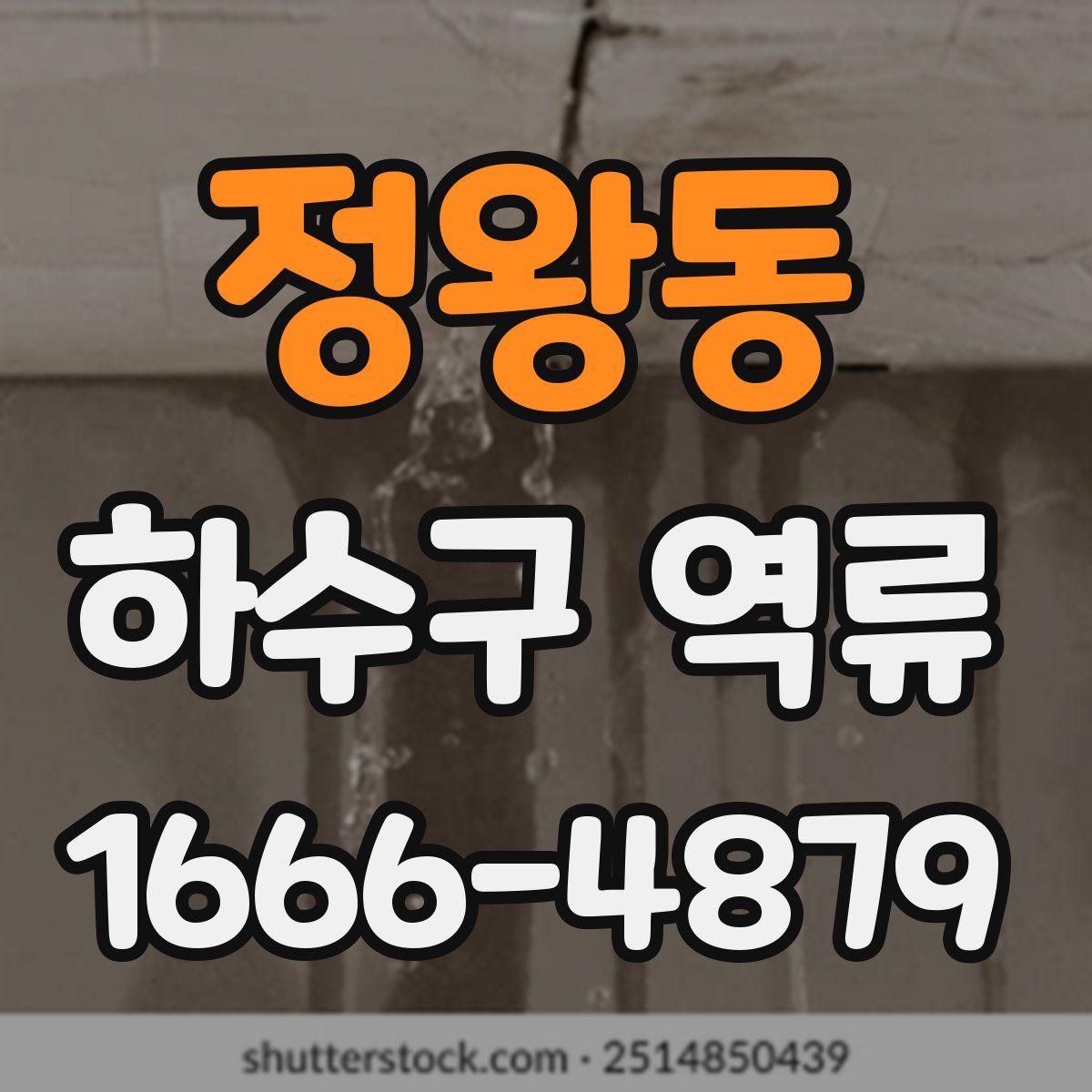 정왕동 하수구 역류