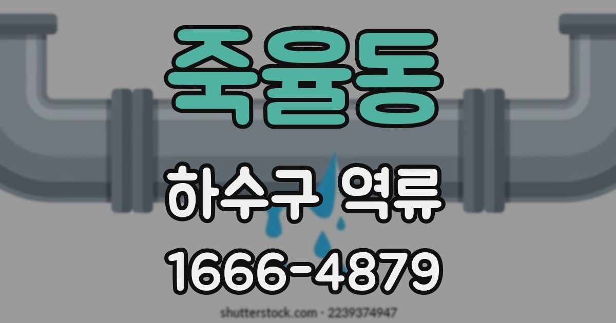 죽율동 하수구 역류