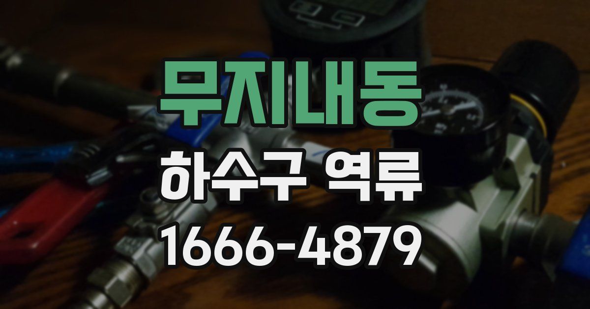 무지내동 하수구 역류