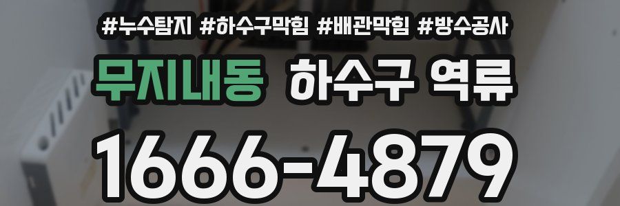 무지내동 하수구 역류
