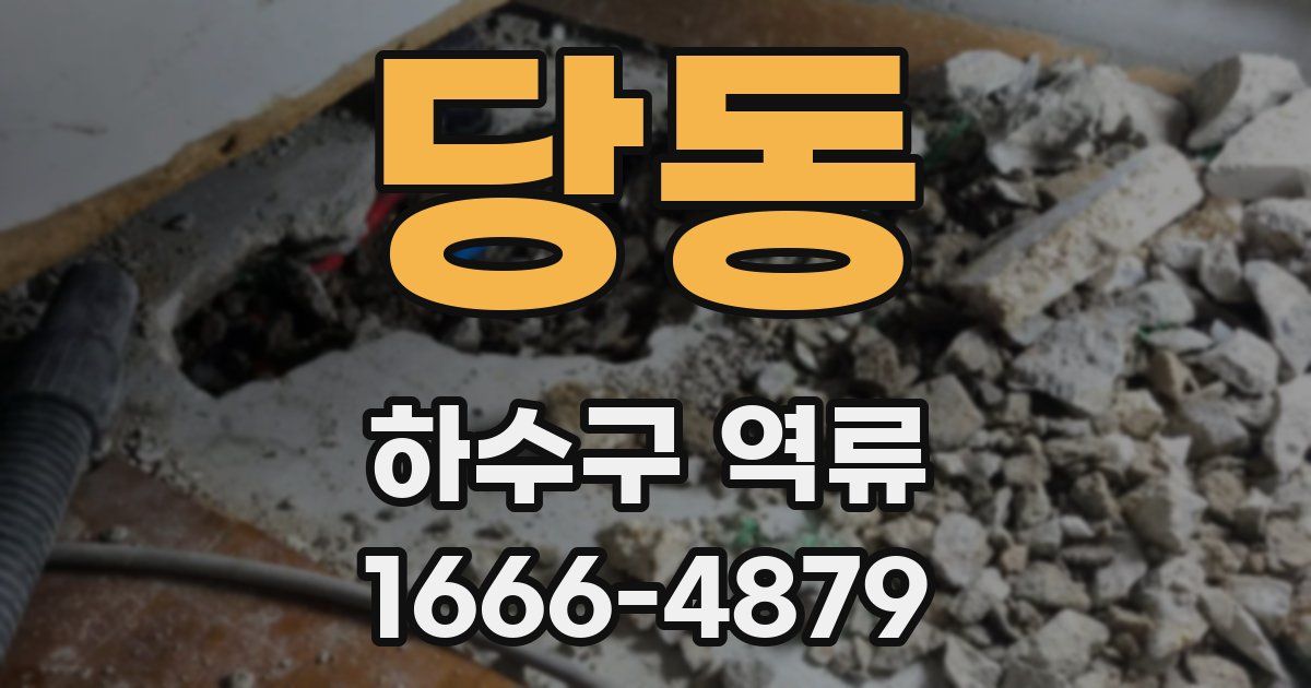 당동 하수구 역류