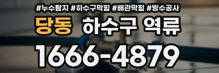 당동 하수구 역류