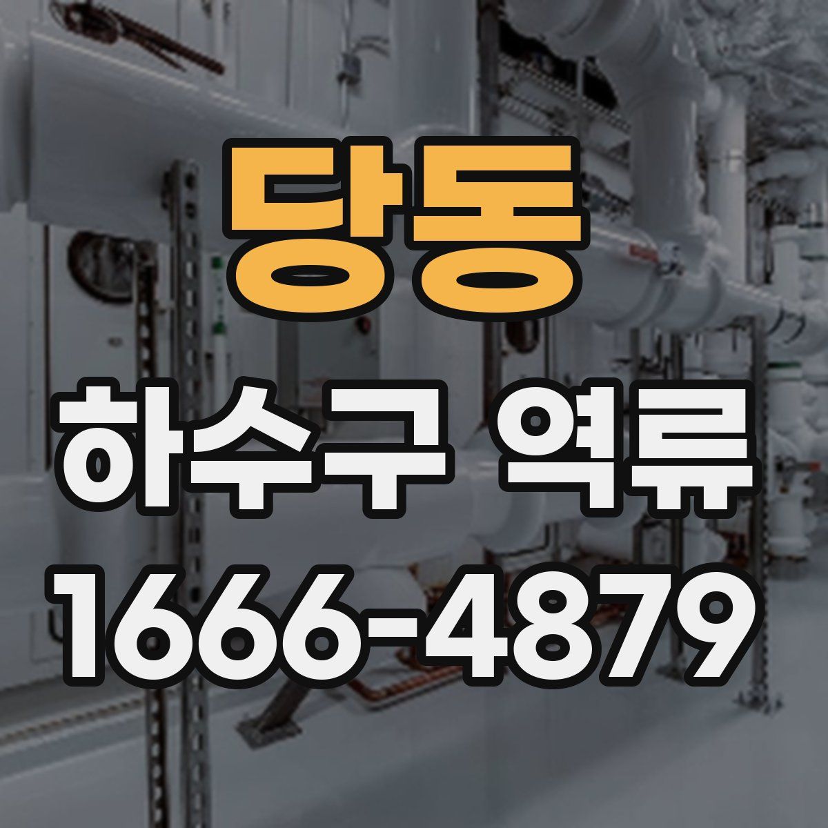 당동 하수구 역류