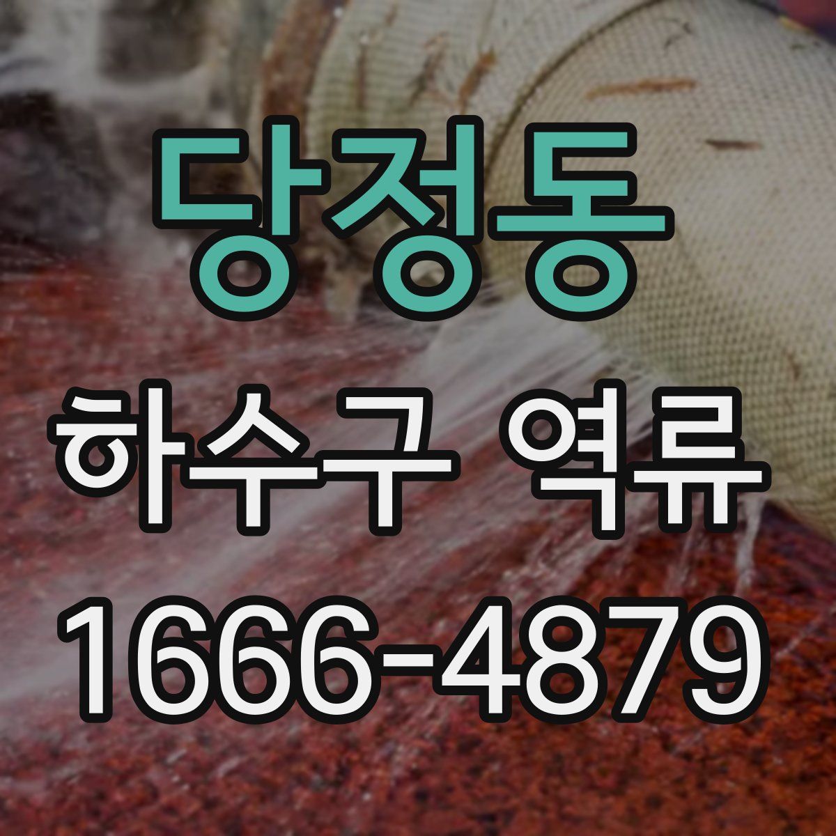 당정동 하수구 역류
