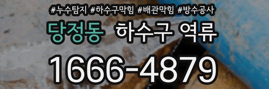 당정동 하수구 역류
