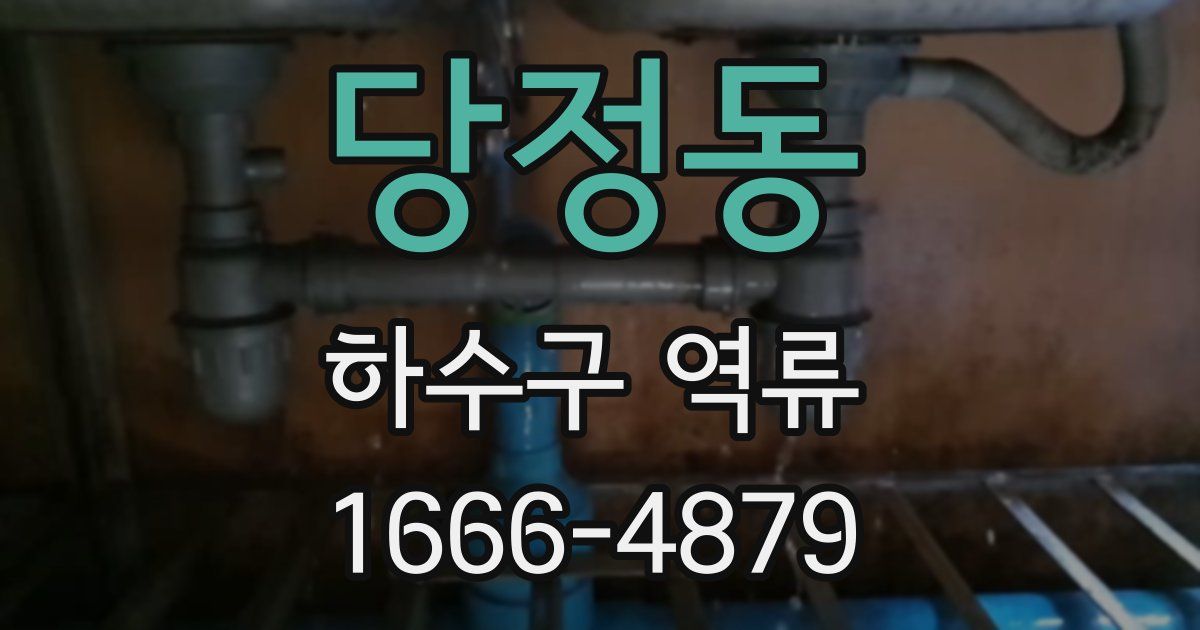 당정동 하수구 역류