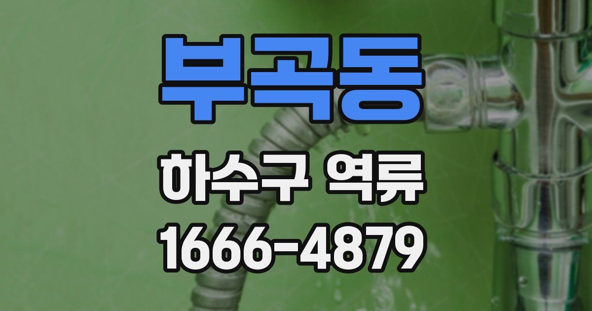 부곡동 하수구 역류