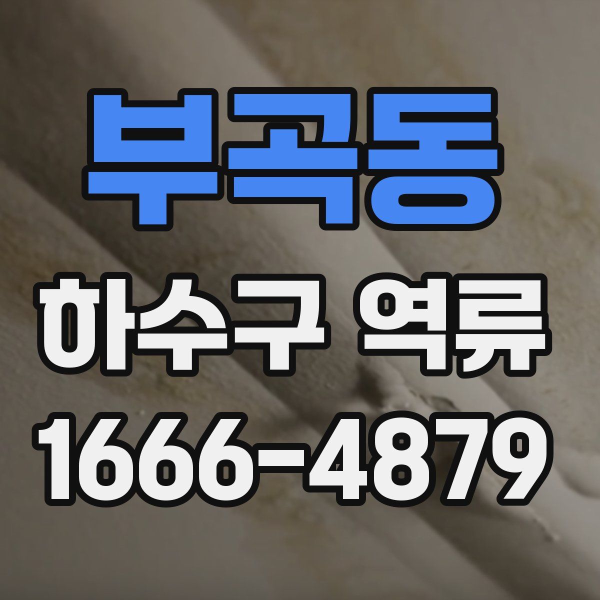 부곡동 하수구 역류