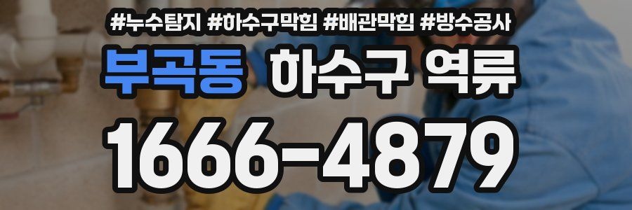 부곡동 하수구 역류