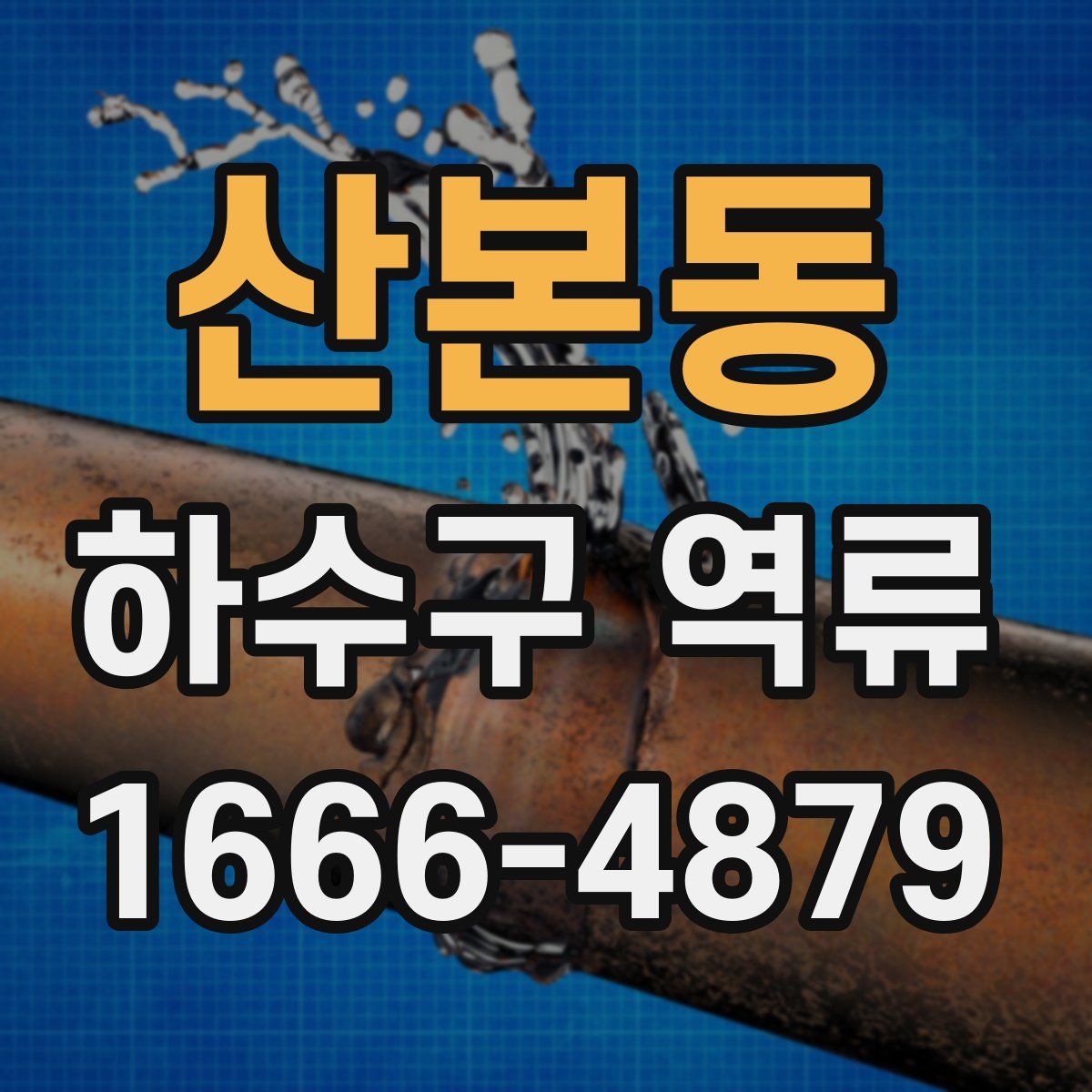 산본동 하수구 역류