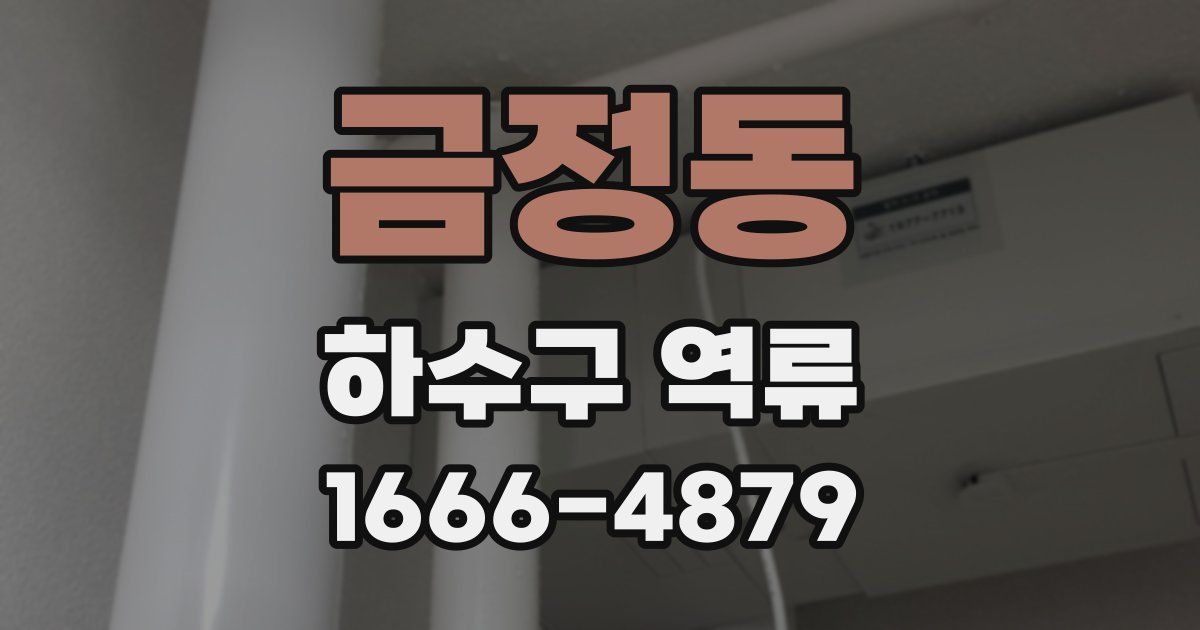 금정동 하수구 역류