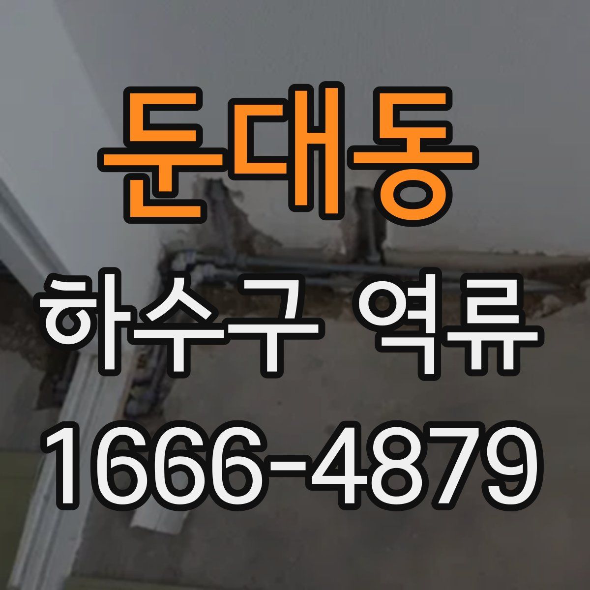 둔대동 하수구 역류