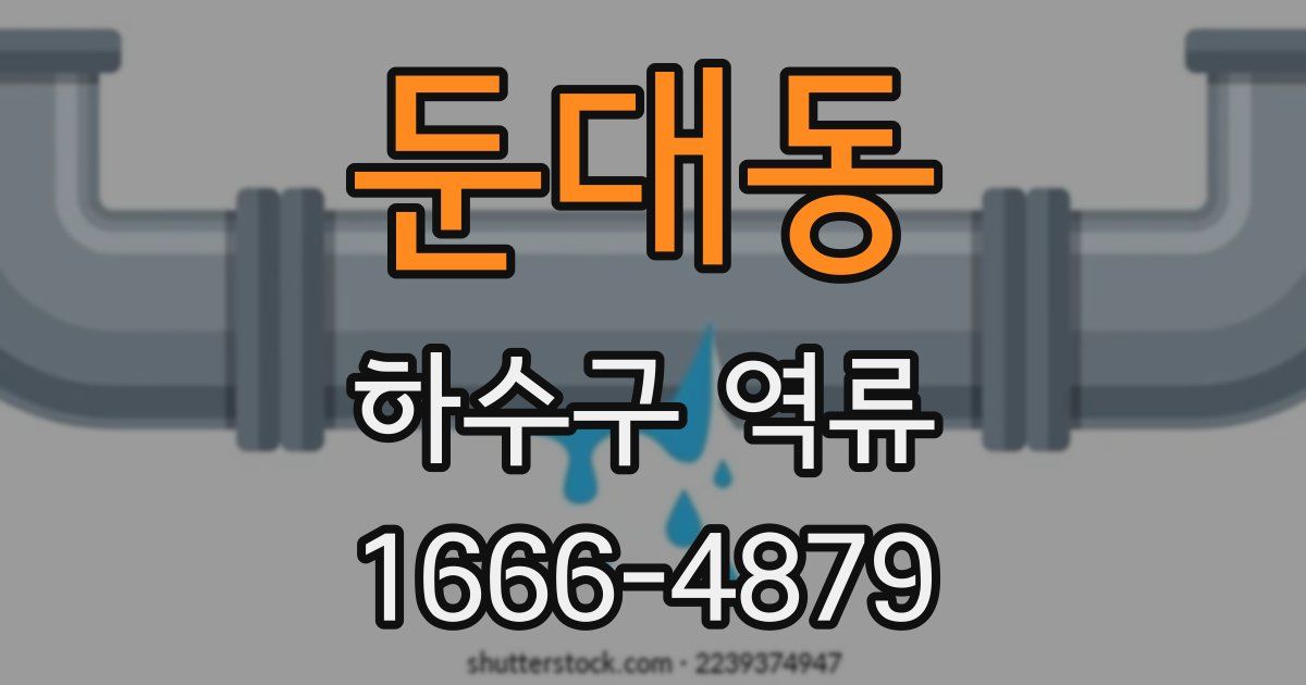 둔대동 하수구 역류