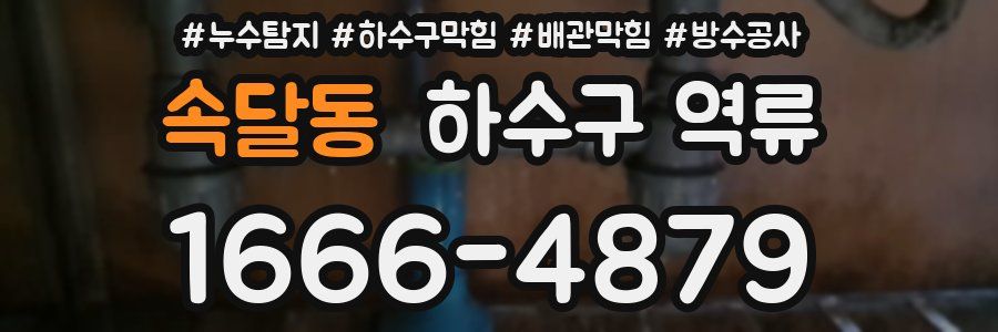 속달동 하수구 역류