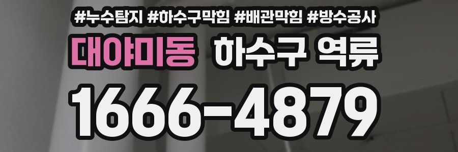 대야미동 하수구 역류