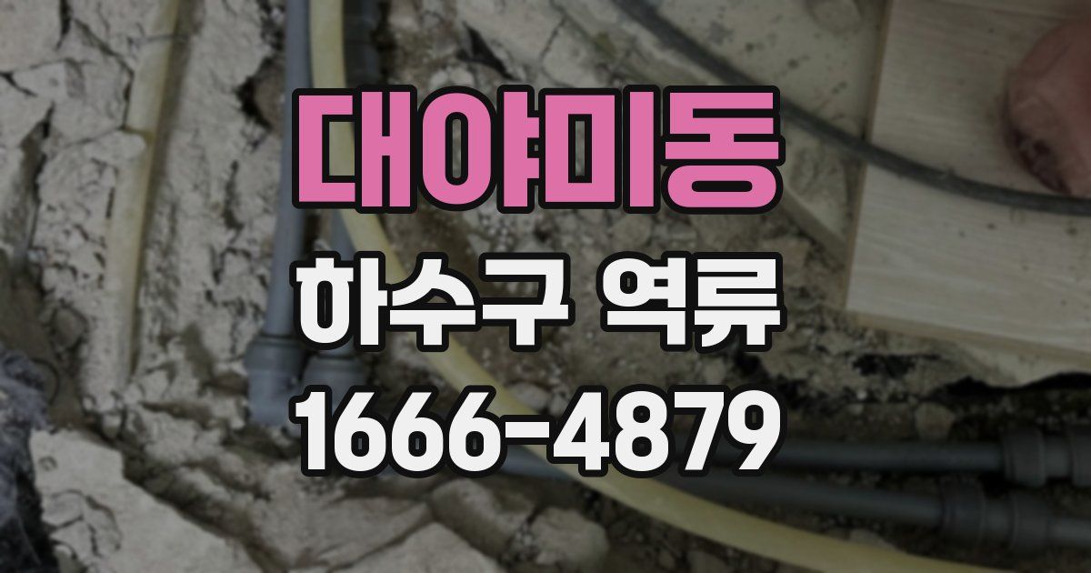 대야미동 하수구 역류