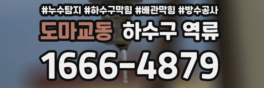 도마교동 하수구 역류