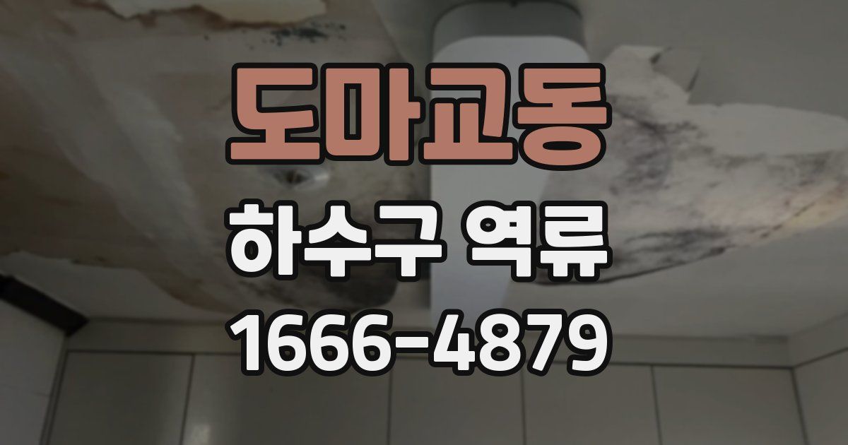 도마교동 하수구 역류