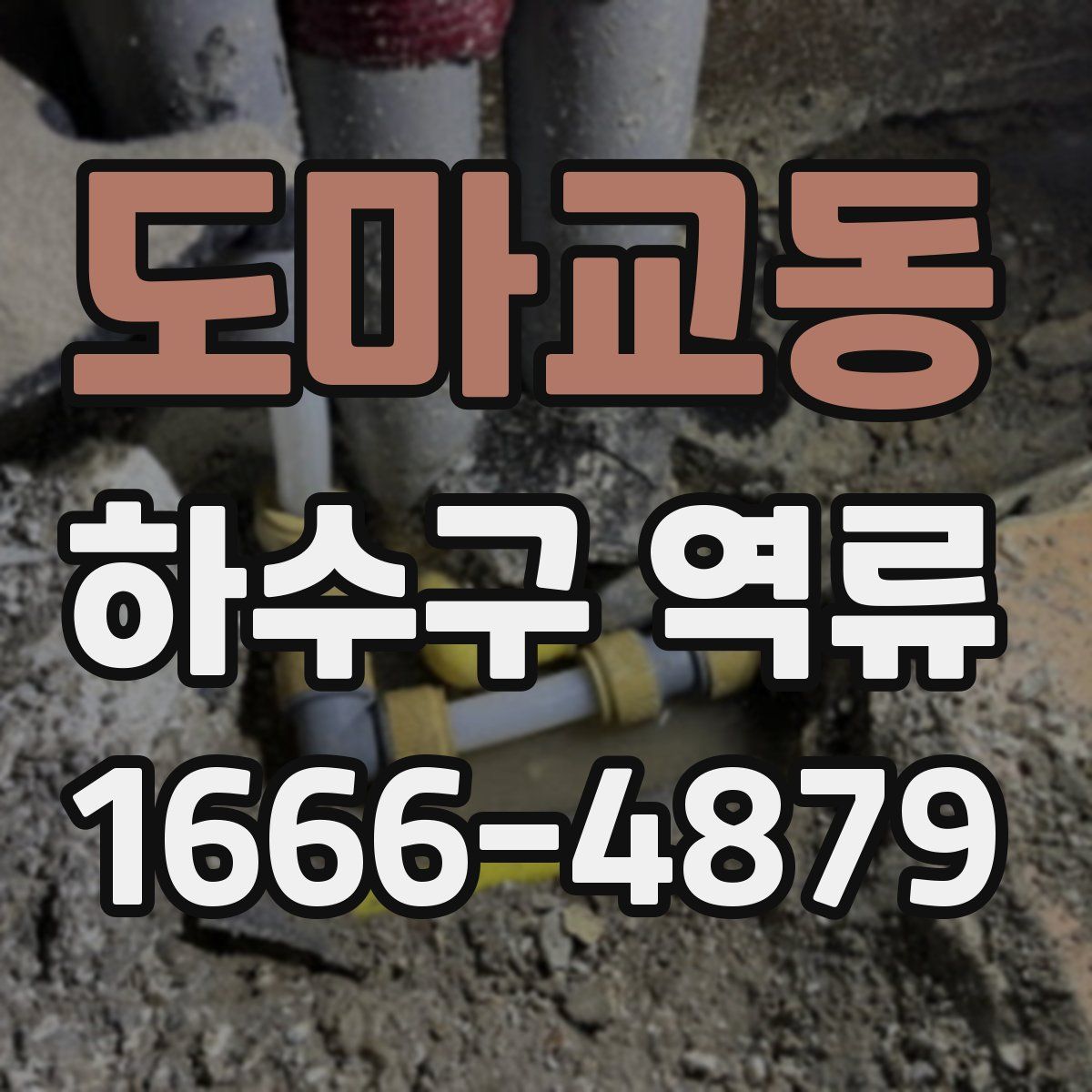도마교동 하수구 역류