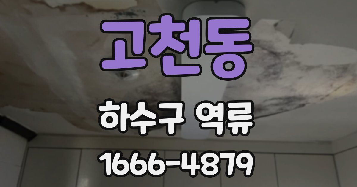 고천동 하수구 역류