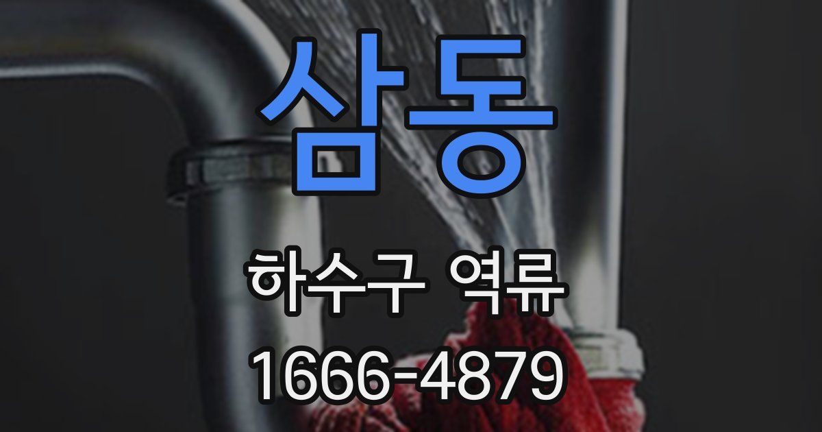 삼동 하수구 역류