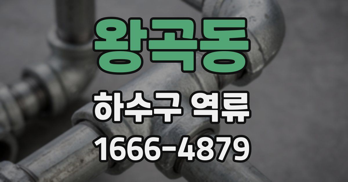 왕곡동 하수구 역류