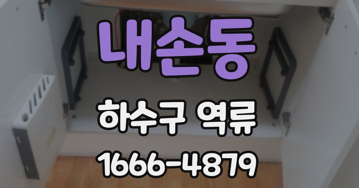 내손동 하수구 역류