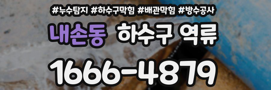 내손동 하수구 역류