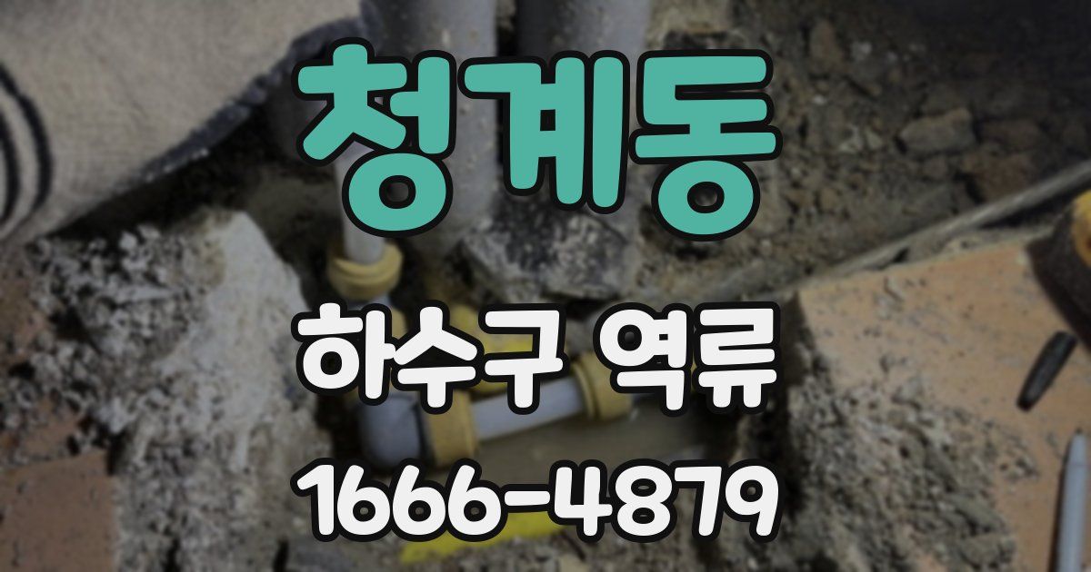 청계동 하수구 역류