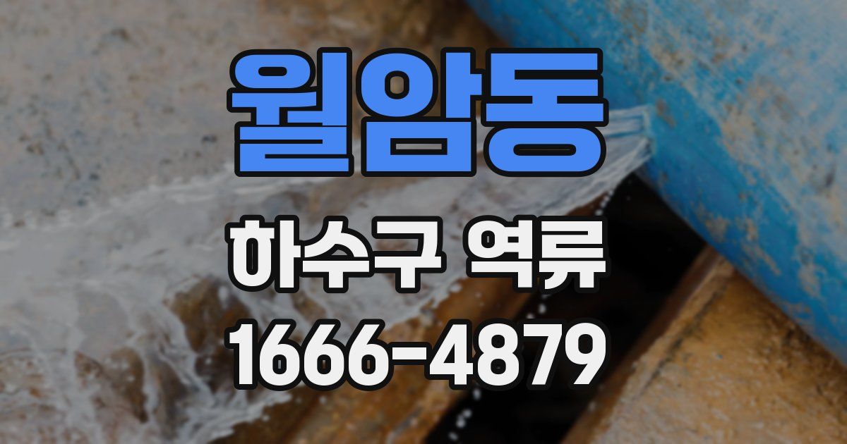 월암동 하수구 역류