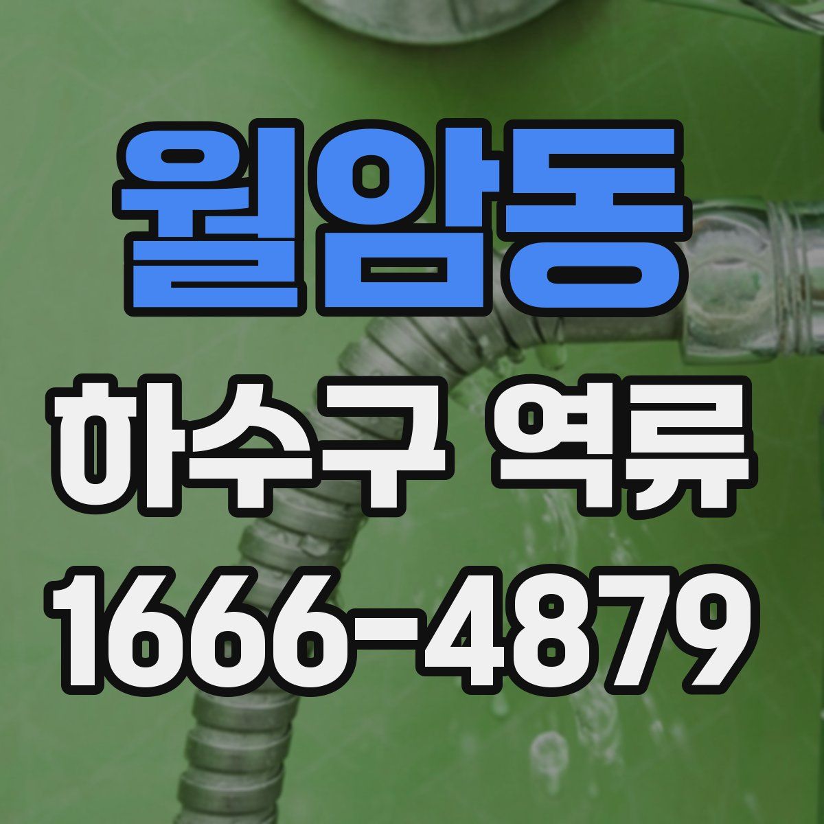 월암동 하수구 역류