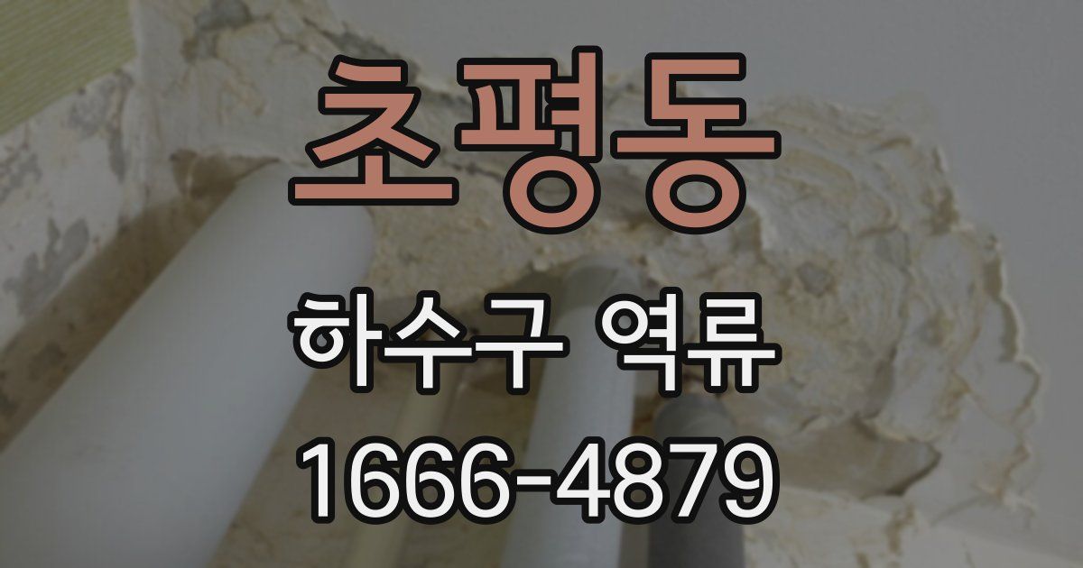 초평동 하수구 역류