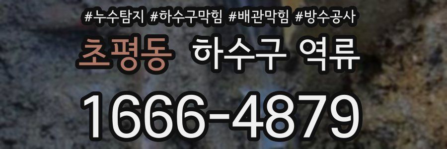 초평동 하수구 역류