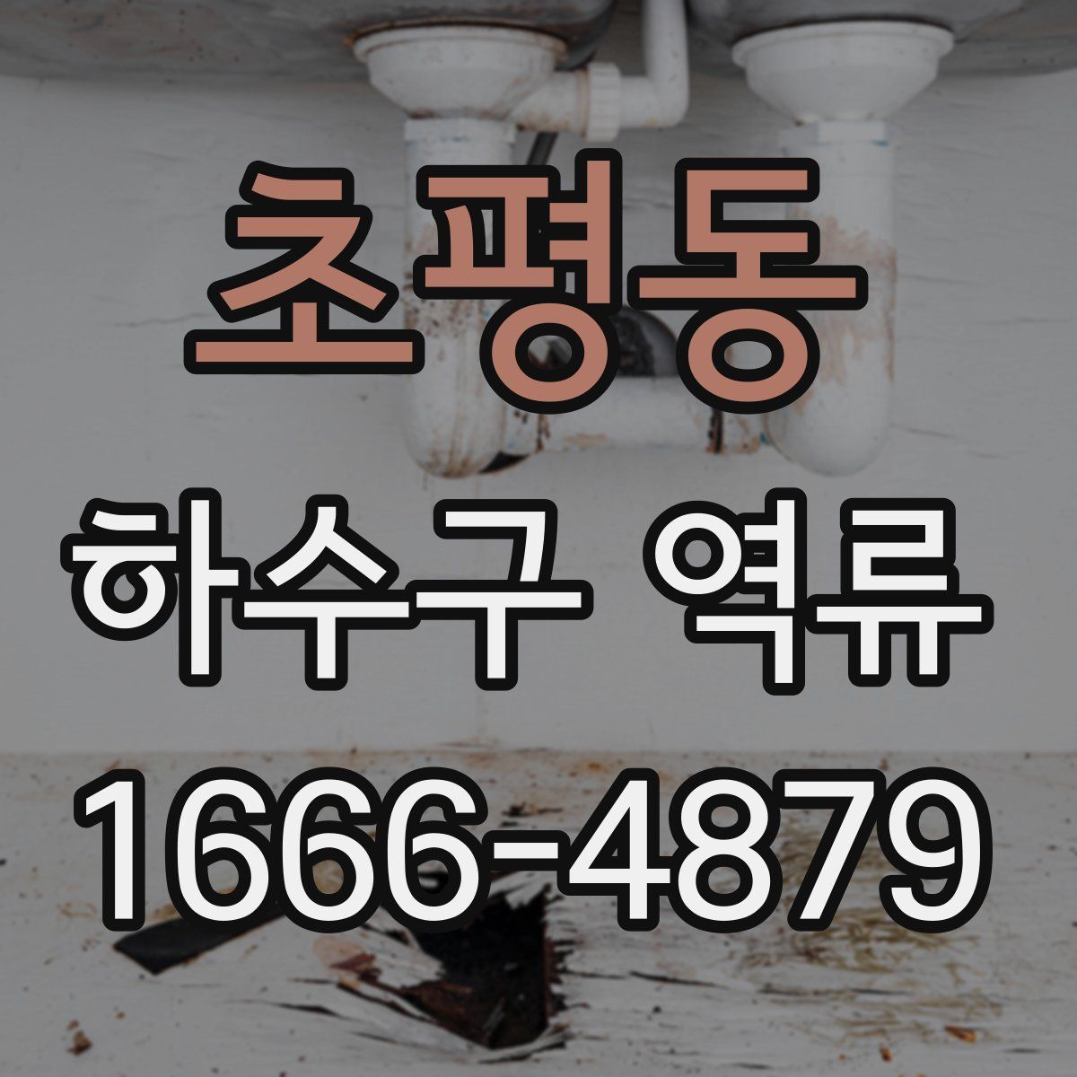 초평동 하수구 역류