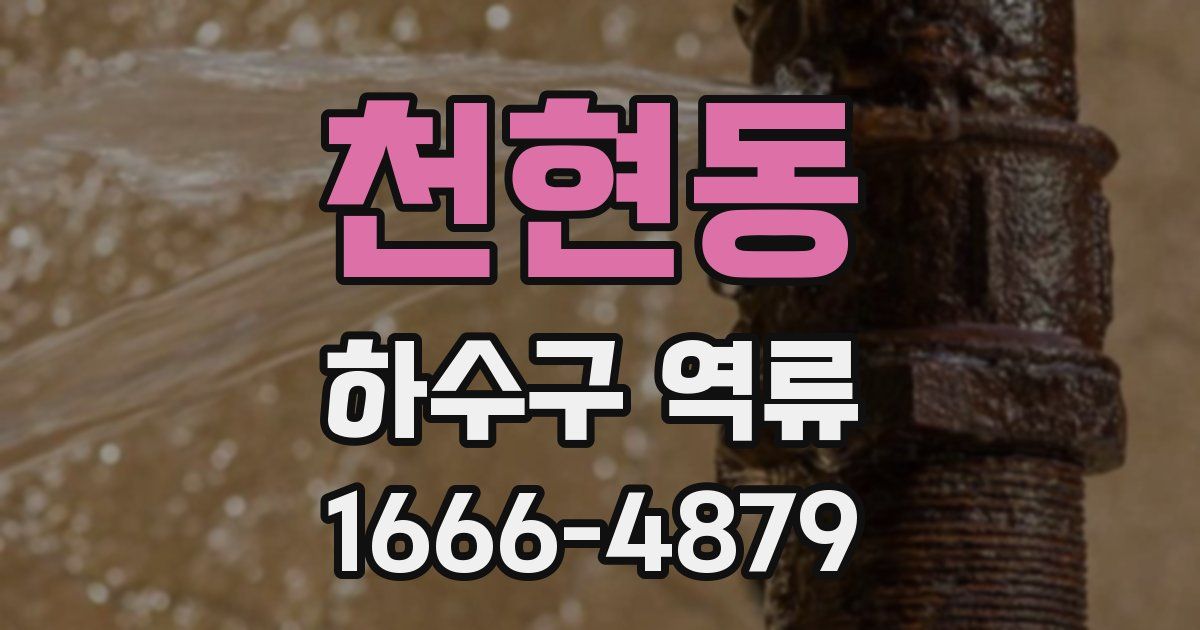 천현동 하수구 역류