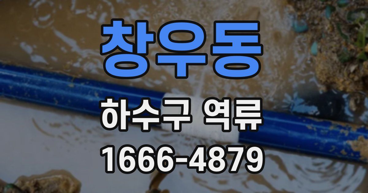 창우동 하수구 역류