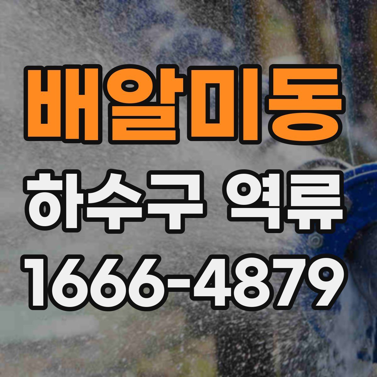 배알미동 하수구 역류