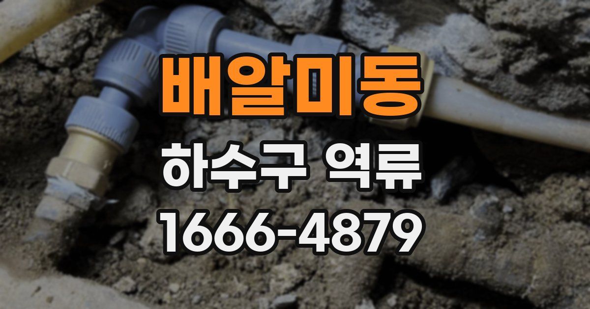 배알미동 하수구 역류