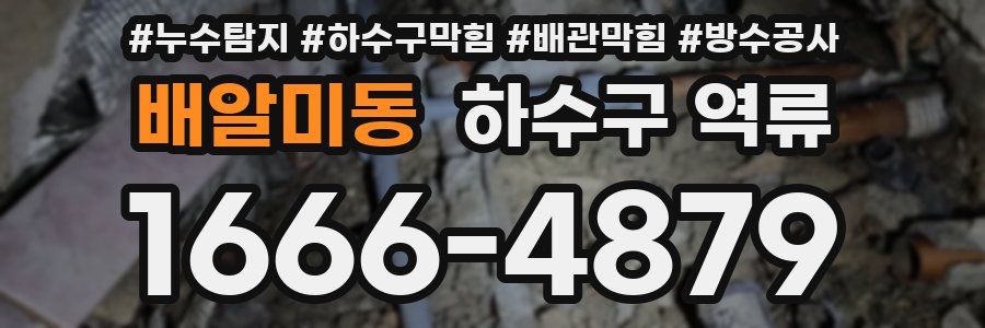 배알미동 하수구 역류