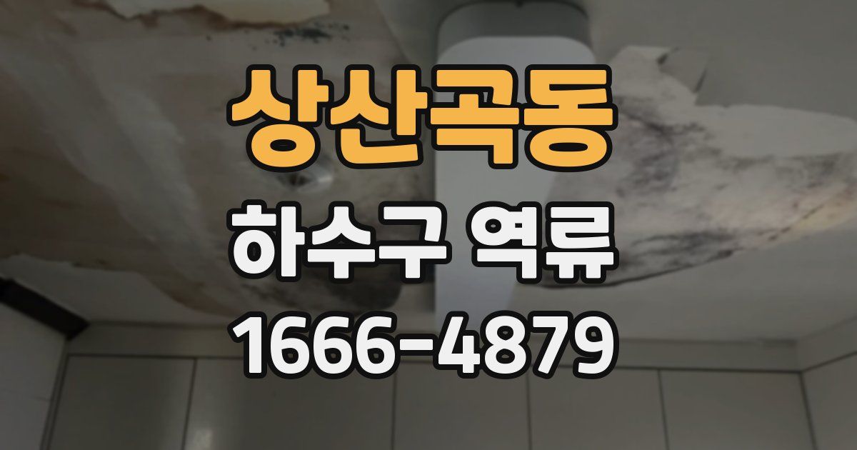 상산곡동 하수구 역류