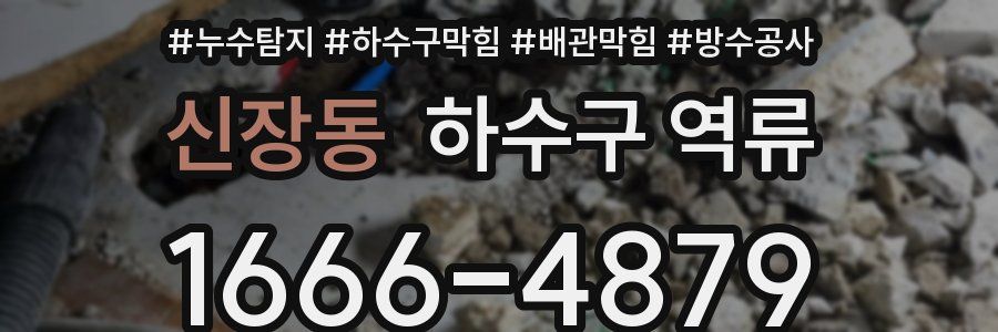 신장동 하수구 역류