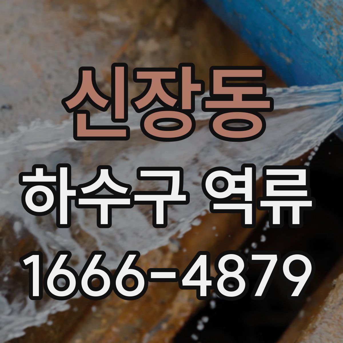 신장동 하수구 역류