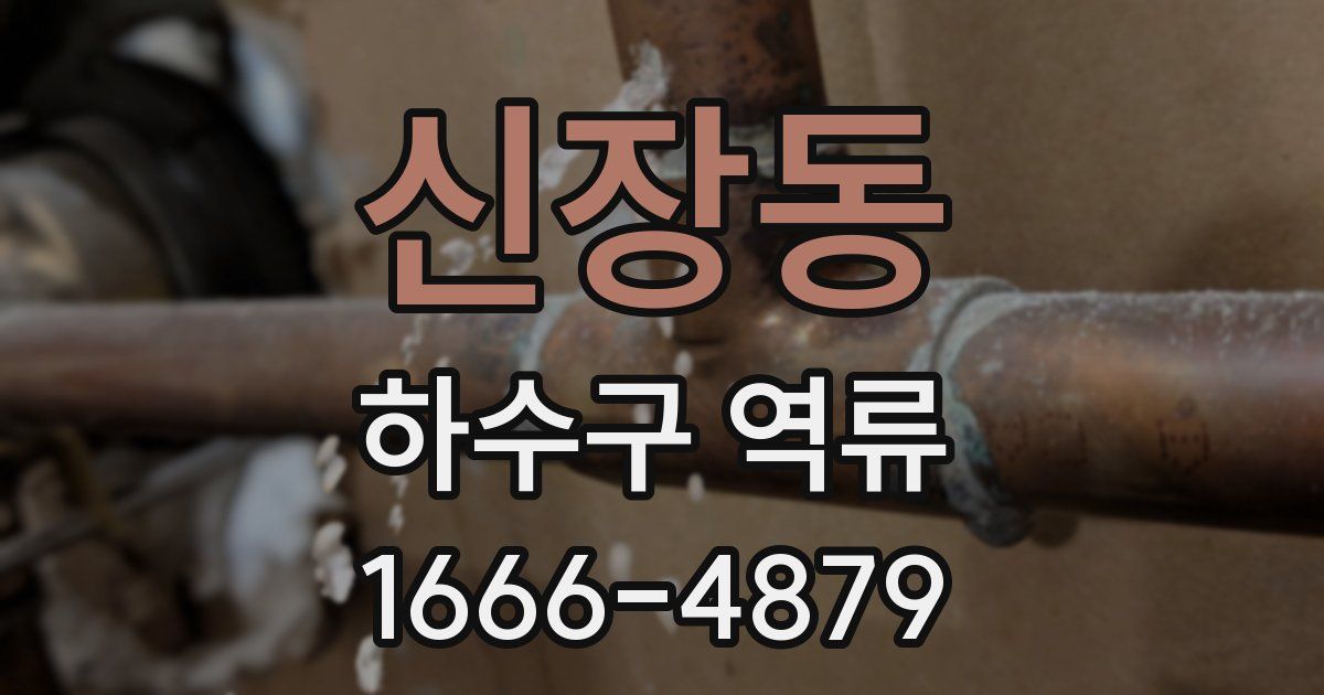 신장동 하수구 역류