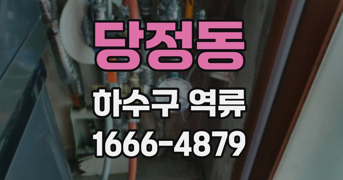 당정동 하수구 역류
