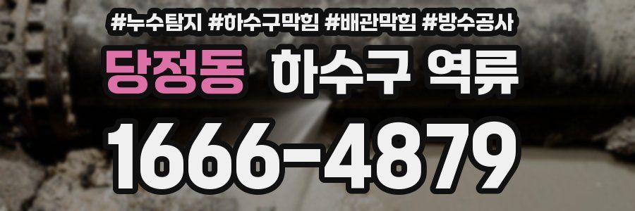 당정동 하수구 역류