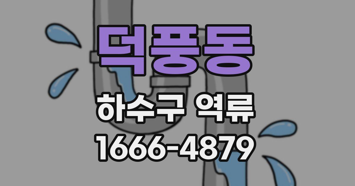덕풍동 하수구 역류