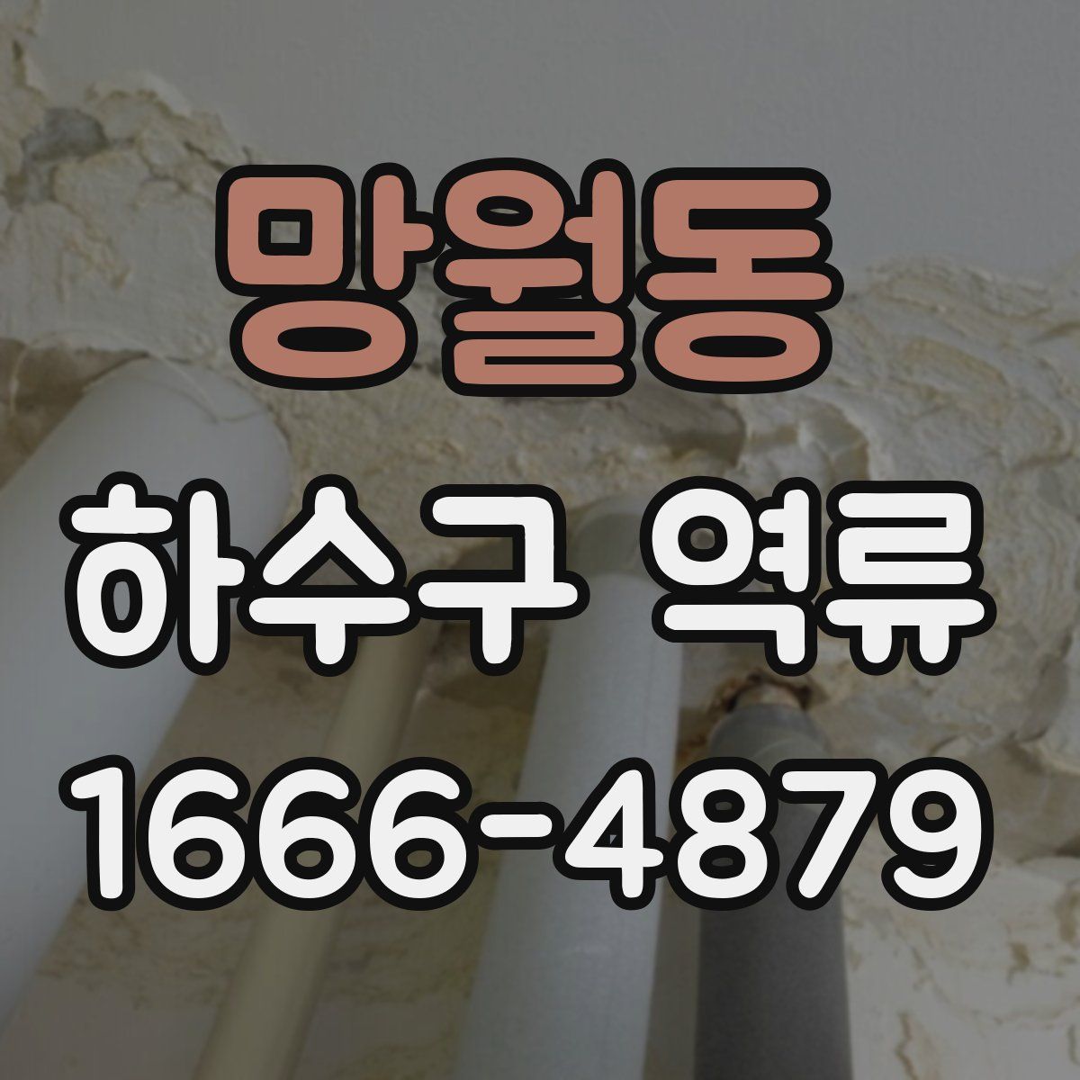 망월동 하수구 역류