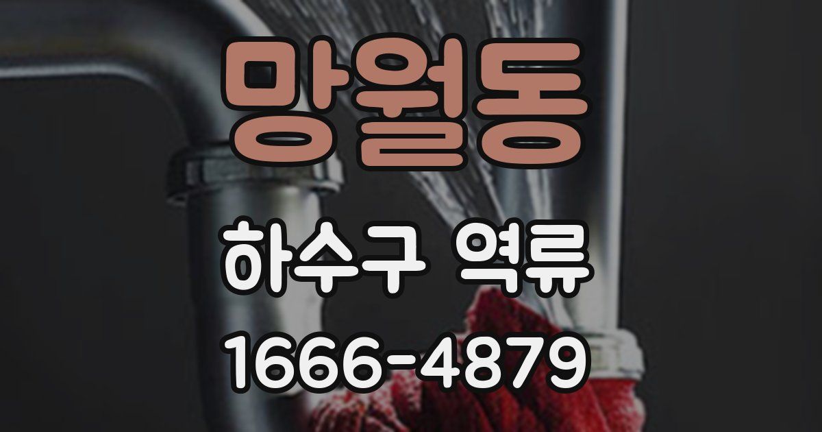 망월동 하수구 역류