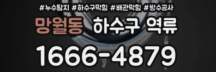 망월동 하수구 역류
